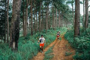 BIB: 
                            <button type="button" onclick="openModal(25741145)" class="btn btn-primary btn-sm float-right btn-popup" data-toggle="modal" data-target=".modal-high-quality">
                        <i class="fas fa-shopping-cart"></i> Add to Cart
                    </button>
                                            <button type="button" onclick="isThisMe(25741145, true)" class="btn btn-success btn-sm float-right btn-popup btn-isme hidden" data-toggle="tooltip" data-placement="bottom" title="นี่คือรูปของคุณใช่ไหม คลิกที่นี่เพื่อเอาเข้าอัลบั้ม">
                        <i class="fas fa-plus"></i> Add to album
                    </button>
                    <button type="button" onclick="isThisMe(25741145, false)" class="btn btn-warning btn-sm float-right btn-popup btn-isnotme hidden">
                        <i class="fas fa-ban"></i> Remove from album
                    </button>